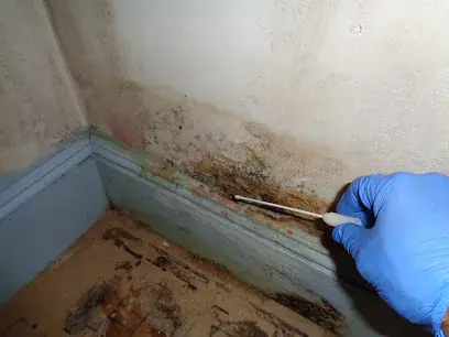 A wall opened and dried after water damage in a White Plains, NY home