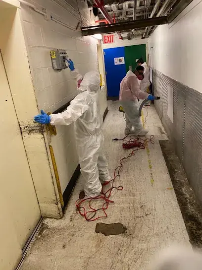 TDL Restoration crew drying a water damaged White Plains, NY home with air movers