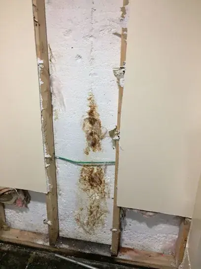 Water damage from a burst pipe on a White Plains, NY wall