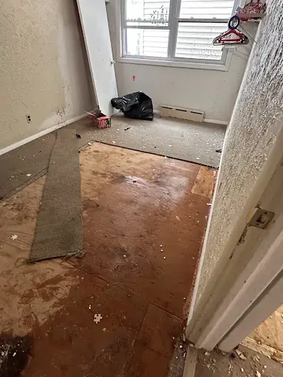 Crawl space water damage under a White Plains, NY home